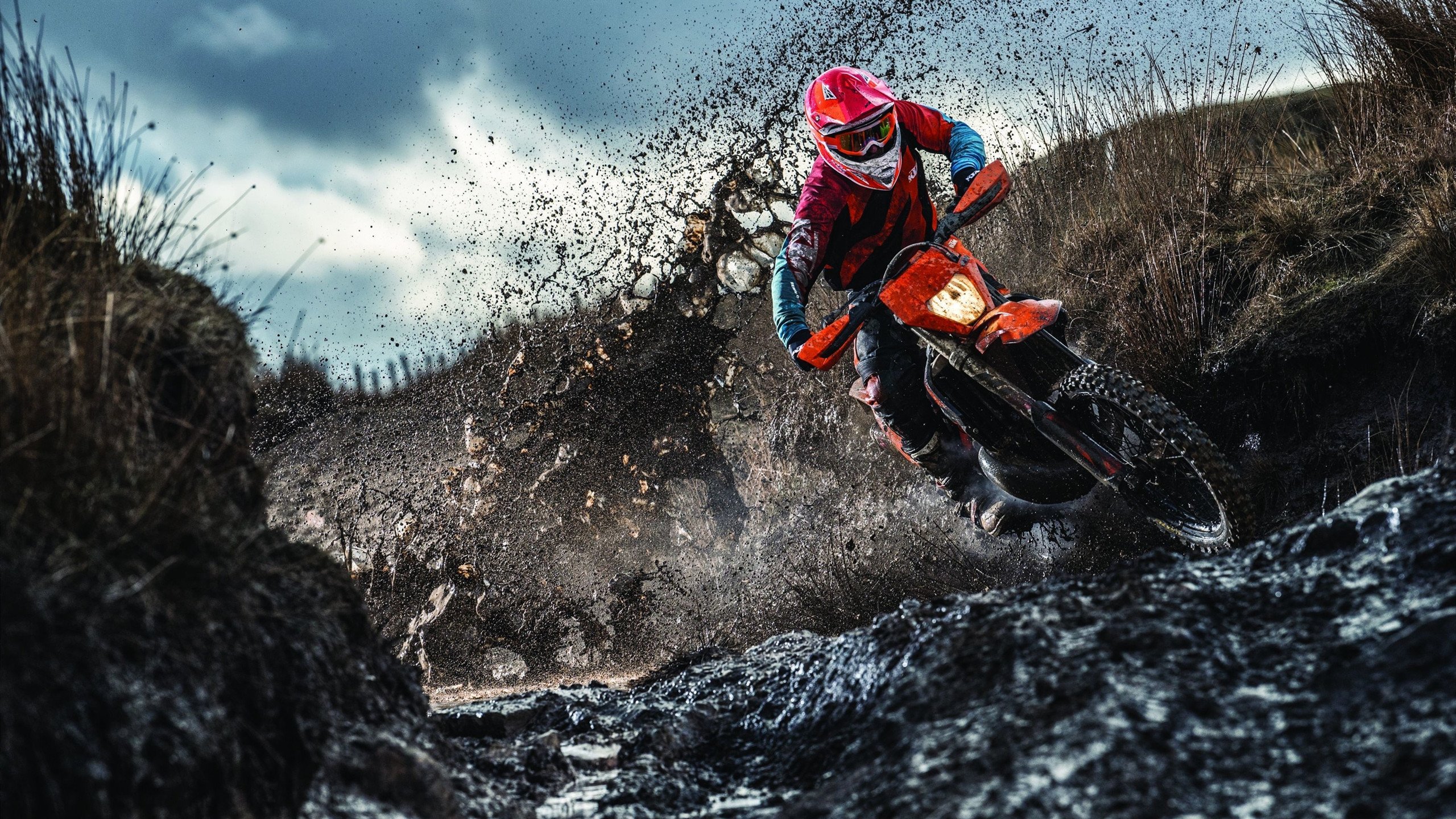 法国女足队表现出色，意气风发，法国女子足球队